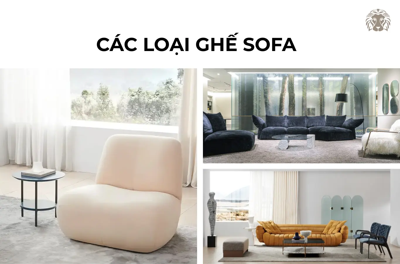 Các loại ghế sofa: Phân loại kiểu dáng, chất liệu và công năng