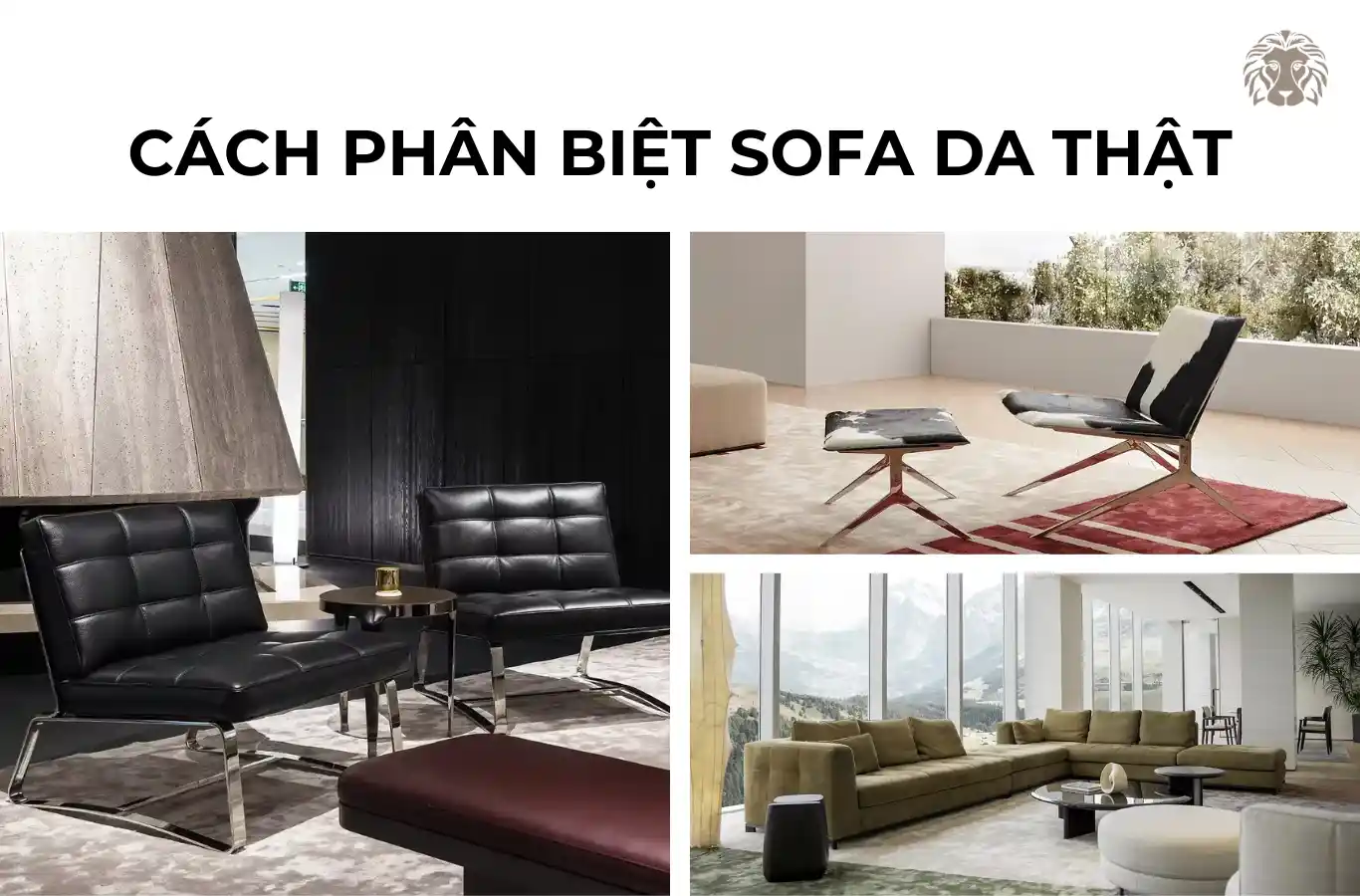 5 cách nhận biết sofa da thật và da giả đơn giản và chính xác nhất