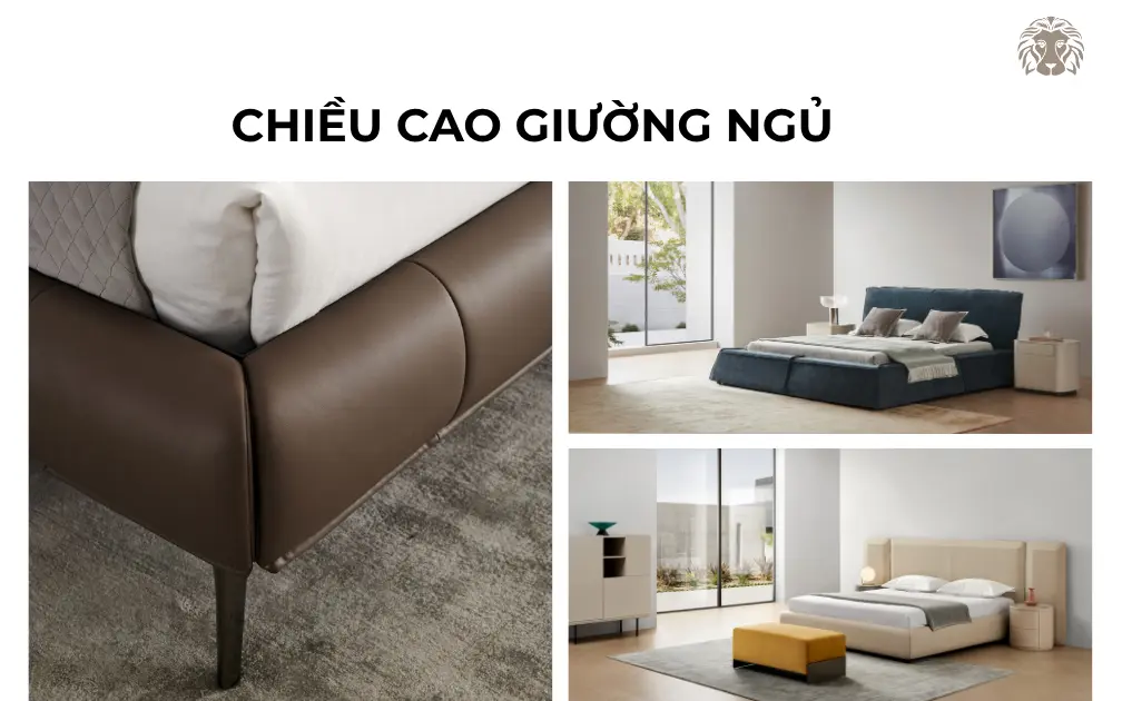 Chiều cao giường ngủ tiêu chuẩn là bao nhiêu? Cách chọn phù hợp